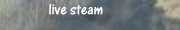 live steam